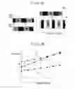 Fig. 06 - CONTROL APPARATUS FOR DRIVING APPARATUS