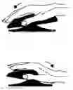 Fig. 01 - Mouse