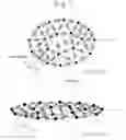 Fig. 09 - Surgical simulation model generating method, surgical simulation method, and surgical simulator