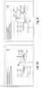 Fig. 12 - Manipulating graphical objects