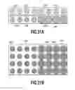 Fig. 22 - Image processing apparatus, printing apparatus, and image processing method