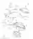 Fig. 02 - Image-shake correction device, lens barrel, and optical apparatus