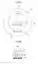 Fig. 09 - Imaging device and camera system with photosensitive conversion element