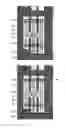 Fig. 22 - Liquid-crystal display device including floating electrode
