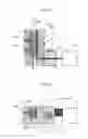 Fig. 03 - Method for manufacturing lens for electronic spectacles, lens for electronic spectacles, and electronic spectacles