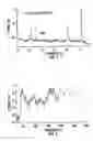 Fig. 08 - OPTICAL SCANNING AND IMAGING SYSTEMS BASED ON DUAL PULSED LASER SYSTEMS