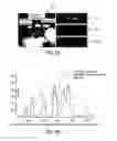 Fig. 08 - Mobile phone hyperspectral imager with single-frame spatial, spectral and polarization information
