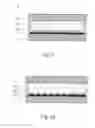 Fig. 06 - ELECTROCHROMIC UNIT AND STEREO IMAGE DISPLAY DEVICE HAVING THE SAME