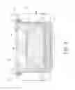 Fig. 04 - Lamp