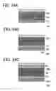 Fig. 25 - Anti-reflection film and display device