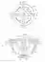 Fig. 01 - STIRRING ROTOR AND STIRRING DEVICE