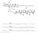 Fig. 01 - COMBINED ELECTROMAGNETIC AND SEISMIC ACQUISITION SYSTEM AND METHOD