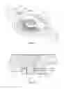 Fig. 10 - Spiral-spring balance wheel regulating member