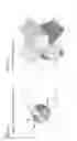 Fig. 05 - Optical pickup device