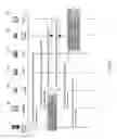 Fig. 04 - Methods and apparatus for data traffic offloading at a router
