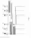 Fig. 05 - Methods and apparatus for data traffic offloading at a router