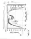 Fig. 02 - Method of using micro-nano-hetro structures to make radiation detection systems and devices with applications