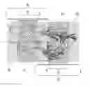 Fig. 01 - Method for scanning a heart with a dual-source CT device and embodiment of a dual-source CT device