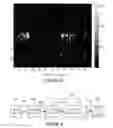 Fig. 06 - Detecting a change between images or in a sequence of images