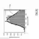 Fig. 07 - Auto-scaling of parametric images