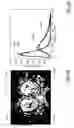 Fig. 08 - Auto-scaling of parametric images