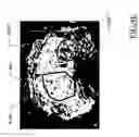 Fig. 11 - Auto-scaling of parametric images