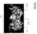 Fig. 13 - Auto-scaling of parametric images