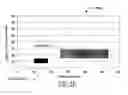 Fig. 19 - Auto-scaling of parametric images