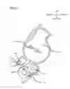 Fig. 04 - Developing device provided with sealing members assembled to thickness-regulation member