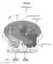 Fig. 06 - Turbine rotor
