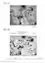 Fig. 02 - Sintered material for valve guides and production method therefor