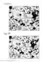 Fig. 03 - Sintered material for valve guides and production method therefor
