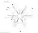 Fig. 07 - Fluidized bed reactor
