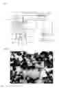 Fig. 02 - Method for production of carbon nanotube and method for purification of the same