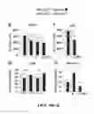 Fig. 76 - SHH Regulation and Methods Thereof