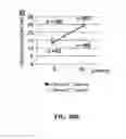 Fig. 85 - SHH Regulation and Methods Thereof