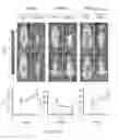 Fig. 35 - Stabilized alpha helical peptides and uses thereof