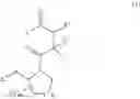 Fig. 07 - Small molecule apoptosis promoters