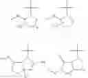 Fig. 22 - Small molecule apoptosis promoters