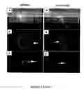 Fig. 09 - PERIVASCULAR MESENCHYMAL PRECURSOR CELLS