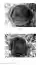 Fig. 02 - SKIN PREPARATION CONTAINING FERMENTED SOYBEAN PASTE