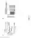 Fig. 08 - Methods for the Treatment of Allergic Diseases