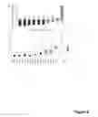 Fig. 17 - Methods And Compositions Related To Synergistic Responses To Oncogenic Mutations