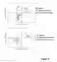 Fig. 20 - Methods And Compositions Related To Synergistic Responses To Oncogenic Mutations