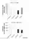 Fig. 35 - Methods And Compositions Related To Synergistic Responses To Oncogenic Mutations