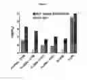 Fig. 09 - OPTIMIZED ANTIBODIES THAT TARGET CD19
