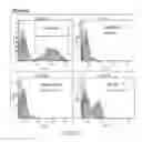 Fig. 33 - OPTIMIZED ANTIBODIES THAT TARGET CD19
