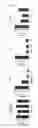 Fig. 06 - Antibodies that specifically bind to A beta oligomers and use thereof