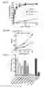 Fig. 04 - Insulin-like growth factor signaling and integrin