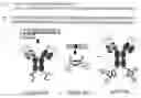 Fig. 01 - Dock-and-lock (DNL) constructs for human immunodeficiency virus (HIV) therapy